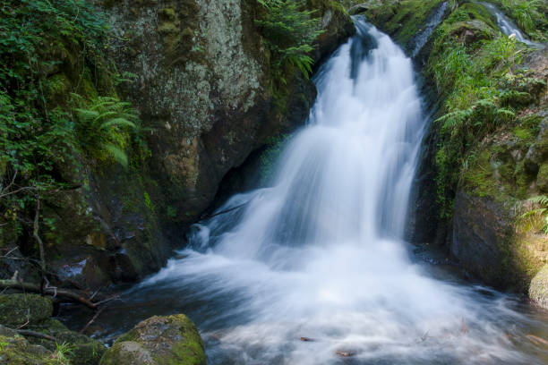 istock Gehard waterfall in Vosges France 1019412700
