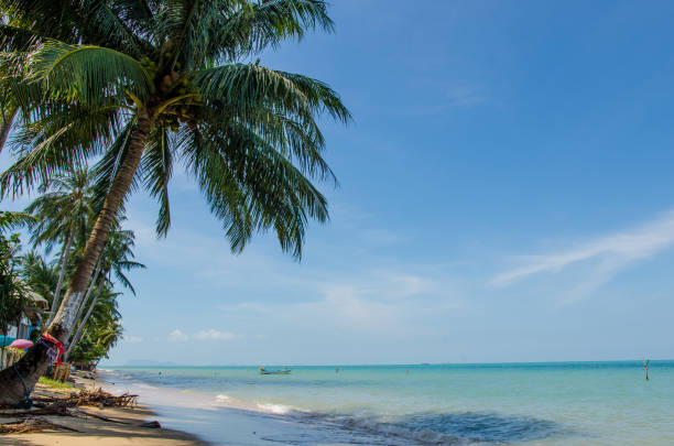 istock Beach frontage with coconut trees and sunshine line. 1019412792