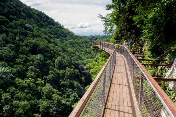 istock Okatse Canyon, Georgia. 1019416342