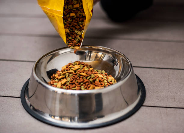 Pouring pet food into a bowl Pouring pet food into a bowl dog food photos stock pictures, royalty-free photos & images
