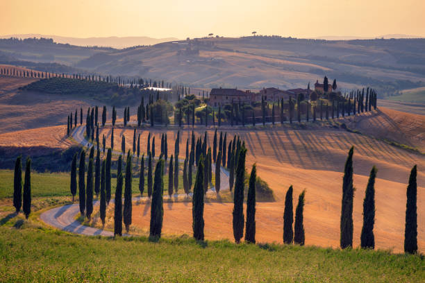 istock Tuscany, Italy. 1019433804