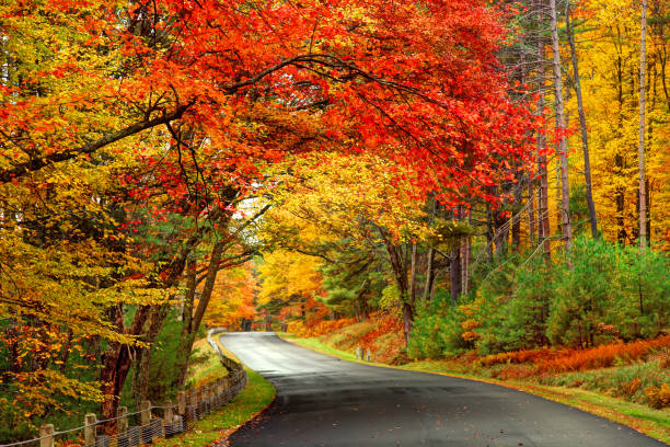 estrada panorâmica de outono na área do parque de reservatório de quabbin de massachusetts - road trip country road landscape street - fotografias e filmes do acervo