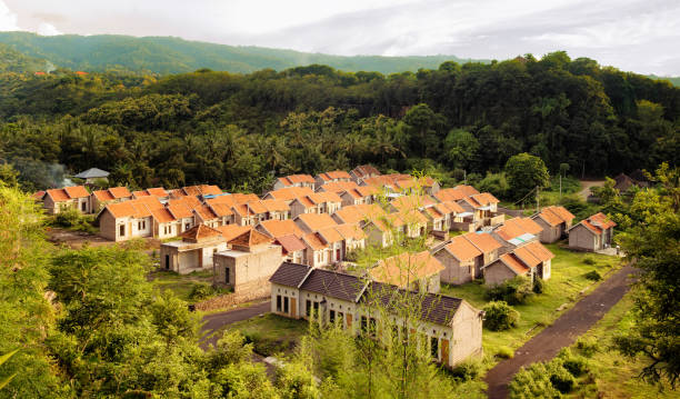 Bali Indonesia new housing development in rain forest Bali Indonesia new housing development in rain forest among the hills indonesian culture stock pictures, royalty-free photos & images