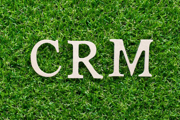 istock Wood alphabet in word CRM (abbreviation of Customer Relationship Management) on artificial green grass background 1019444906