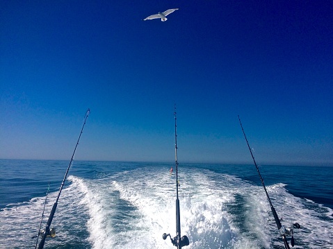 Ocean Fishing Summer Day on the Open Ocean