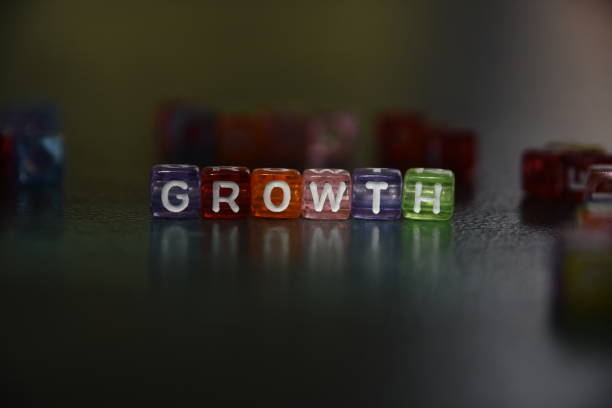 istock Word GROWTH made of letter cubes 1019456120
