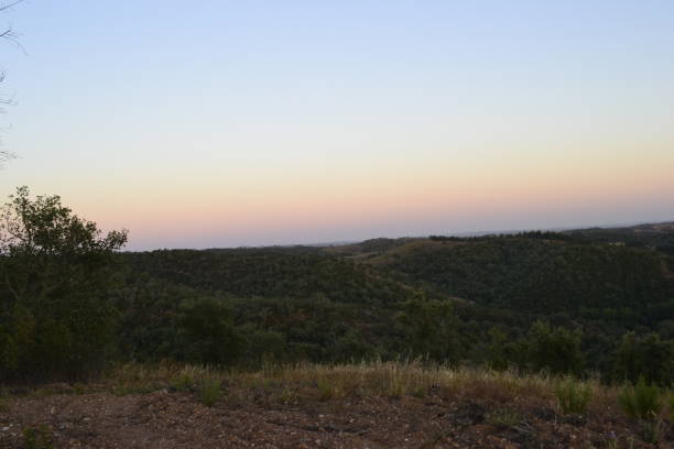 istock ALENTEJO - UNITED KINGDOM 1019457170
