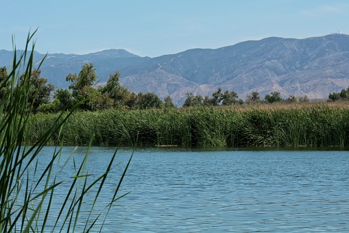 Prado Regional Park is a massive park with areas for camping and lakes for fishing, located in San Bernardino county, California.