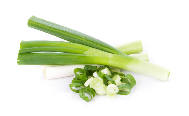 istock Green Japanese Bunching Onion on white background 1019473922