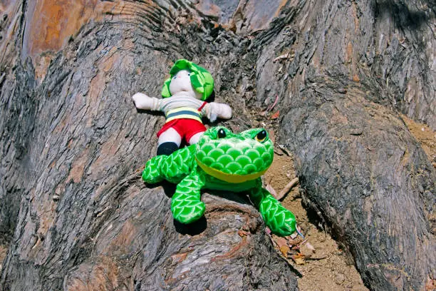 Toy muppet and a toy baby on top of a huge tree root