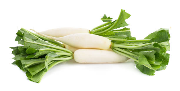 istock fresh white radish isolated on white background 1019480842