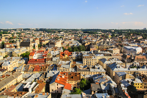 Panoramic view on the old beautiful european city. Medieval architecture with churches, houses, cathedrals and roofs. Summer green photos of ancient Lviv. Amazing town scenery in evening sunset lights