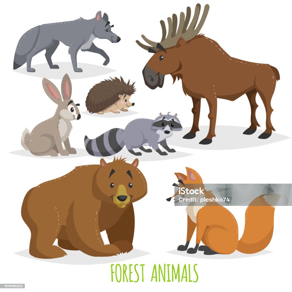 Cartoon forest animals set. Wolf, hedgehog, moose, hare, raccoon, bear and fox. Funny comic creature collection. Vector educational illustrations. Cartoon forest animals set. Wolf, hedgehog, moose, hare, raccoon, bear and fox. Funny comic creature collection. Vector educational illustrations. EPS10 + JPEG preview. Animal stock vector