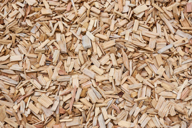 istock bark mulch as picture background, full format horizontal picture 1019489268