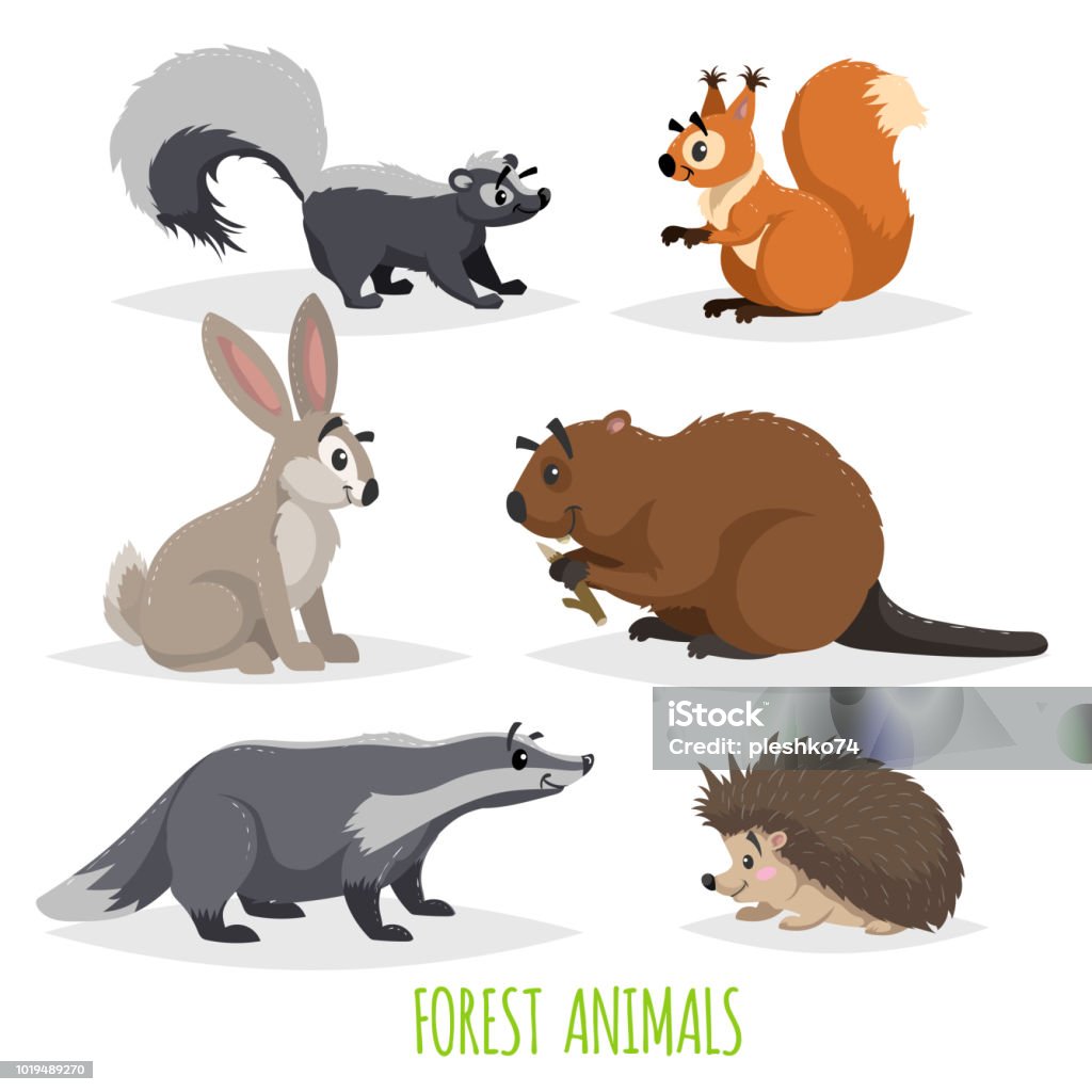 Cartoon forest animals set. Skunk, hedgehog, hare, squirrel, badger and beaver. Funny comic creature collection. Vector educational illustrations. Cartoon forest animals set. Skunk, hedgehog, hare, squirrel, badger and beaver. Funny comic creature collection. Vector educational illustrations. EPS10 + JPEG preview. Hedgehog stock vector