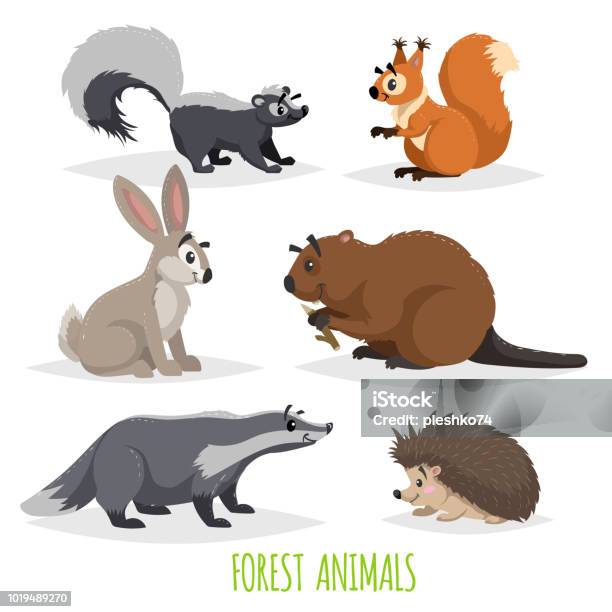 Cartoon Forest Animals Set Skunk Hedgehog Hare Squirrel Badger And Beaver Funny Comic Creature Collection Vector Educational Illustrations Stock Illustration - Download Image Now