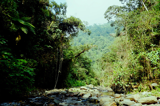 Santa Marta, Magdalena / Colombia - 10 de marzo de 2016: pequeña corriente de agua que fluye alrededor de las rocas en el terreno de la selva photo