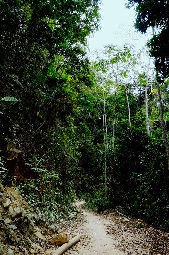 Santa Marta, Magdalena / Colombia - 10 de marzo de 2016: camino a través de las tierras tribales photo