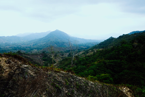Santa Marta, Magdalena / Colombia - 10 de marzo de 2016: limpia los campos indican una vez destrucción de los militares desde las plantaciones de coca photo