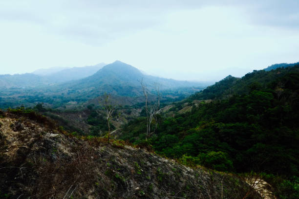 istock Santa Marta, Magdalena / Colombia - MARCH 10 2016 : cleared fields indicate the once coca plantations the military since destroyed 1019494298