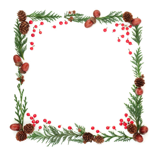 istock Winter Flora and Holly Berry Frame 1019499176