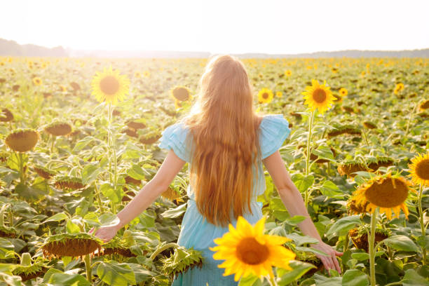 istock Young woman in sunflower field has fun 1019500316