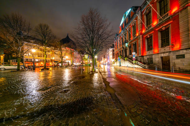 istock Liege City Hall at night, Belgium 1019504780