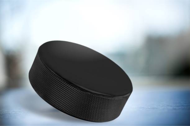 istock Hockey puck. 1019513742