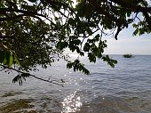 regiao-amazonica-tapajos-para.jpg?b=1&s=170x170&k=20&c=x21bRCDFzcNH49cPTyRjuu1W0I-QTfBoUMm5I8sU19Y=