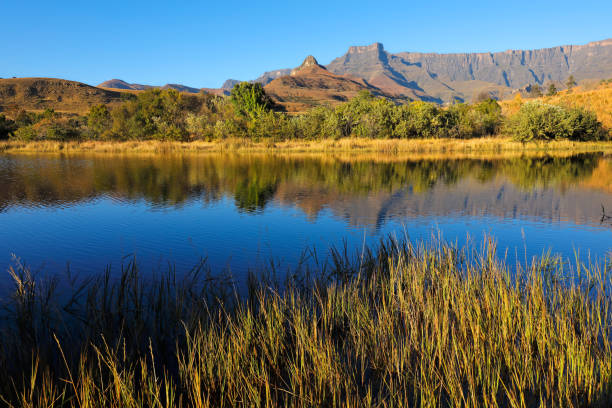 istock Drakensberg mountains with reflection in water 1019517090