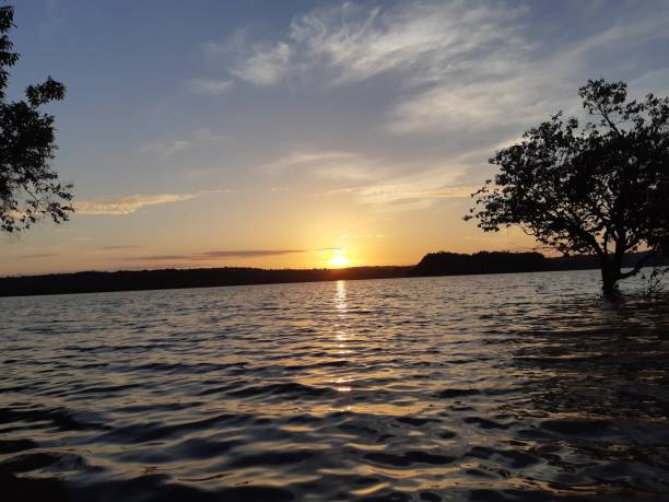 istock AMAZONICA REGION - TAPAJOS - FOR 1019531056