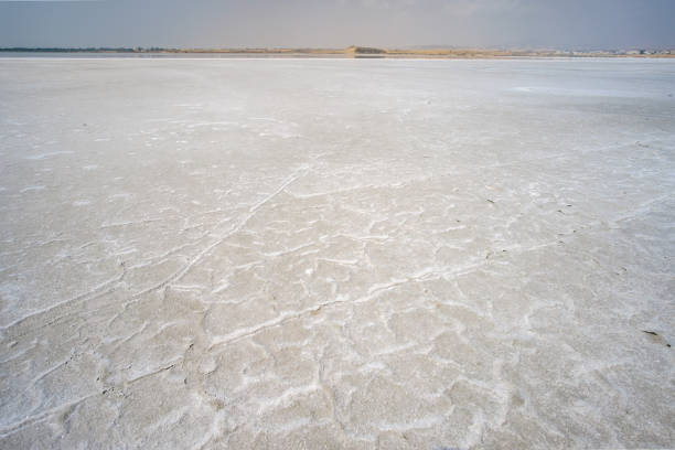istock Salt lake at the Larnaca Cyprus 1019544358