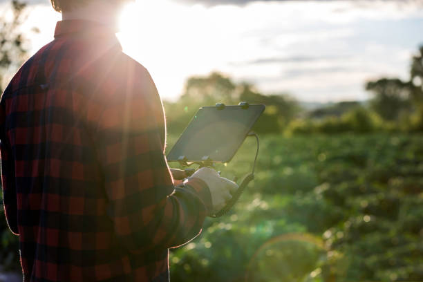 Man Farmer Pilot Using Drone Remote Controller at Sunset Man Farmer Pilot Using Drone Remote Controller on Digital tablet at Sunset spy games stock pictures, royalty-free photos & images
