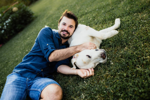 istock Guy and his dog, labrador retriever, courtyard 1019554188