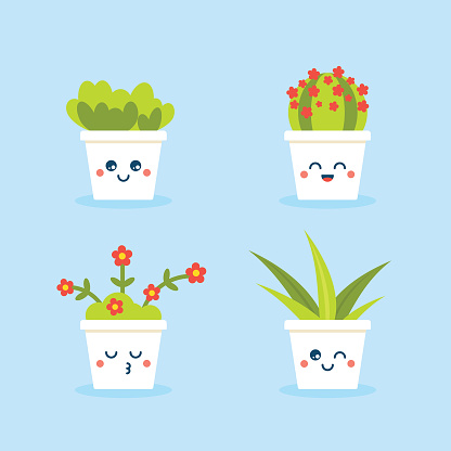Cute Cartoon Houseplants In Flower Pots With Funny Faces Stock Illustration  - Download Image Now - iStock
