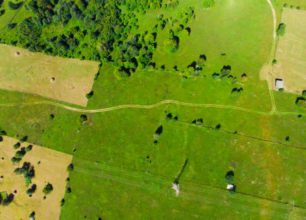 istock road and green meadow 1019562078