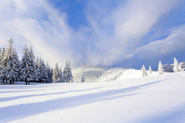 istock Spectacular panorama is opened on mountains,  trees covered with white snow,  lawn and blue sky with clouds. Winter landscape for leaflets. 1019562812