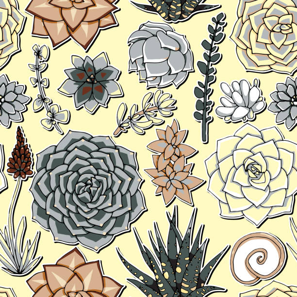 Vector succulents seamless pattern. Succulent ornament.  Natural composition. Colored succulents and cactus floral print. Hand drawn art work.