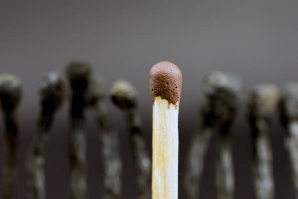 istock burning matches on a dark background illegally money concept, close up,  selective focus , blurred neutral background 1019569124