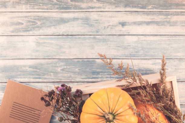 istock Autumn pumpkins and dry flowers flat lay 1019569304