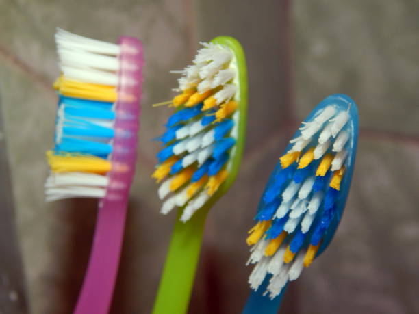 istock Bathroom accessories for hygiene toothbrushes 1019581278