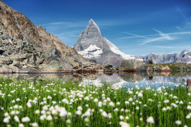 matterhorn i trawa w pobliżu jeziora w godzinach porannych. piękny krajobraz w szwajcarii. krajobraz gór w okresie letnim - zermatt zdjęcia i obrazy z banku zdjęć