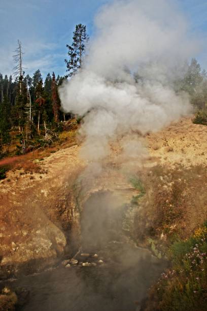 istock Dragons Mouth Spring in Yellowstone National Park 1019597022