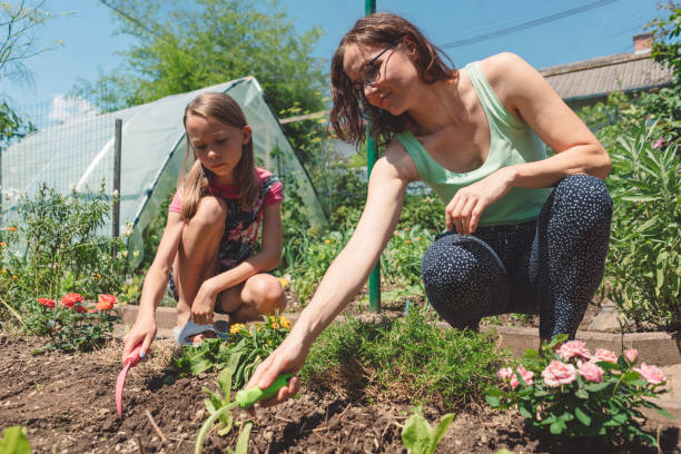 istock Freshly picked vegetables from the garden 1019597658