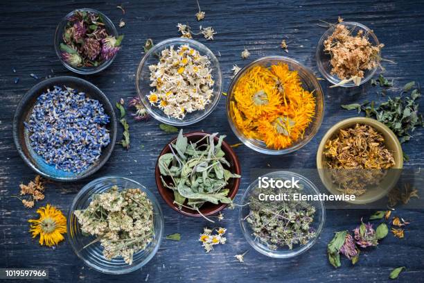 Herbs Stock Photo - Download Image Now - Herbal Medicine, Herb, Dried Plant