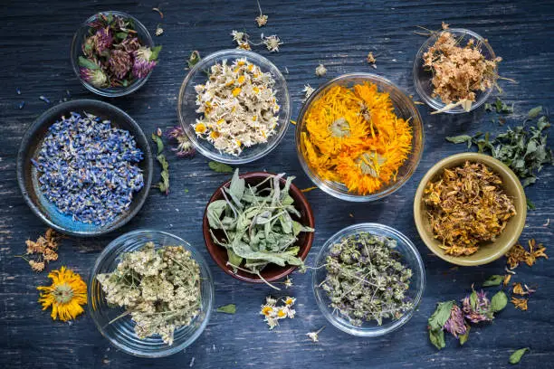 Various dried medicinal herbs and herbal teas in several bowls on blue wooden background from above