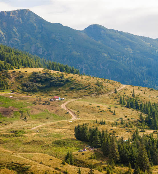 istock Panorama of Carpathian mountains in summer sunny day 1019598362