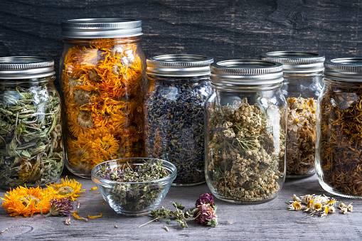 Various dried medicinal herbs and herbal teas in several glass jars on gray wood background, close up