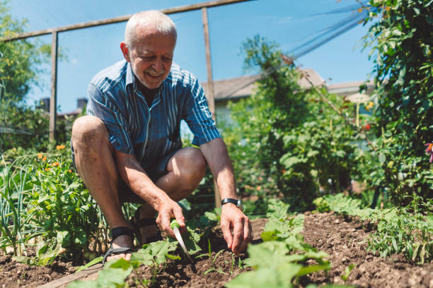 istock I live my life as organic as I can 1019602750