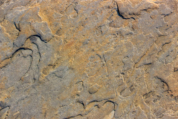 istock Stone background texture background natural stone close-up 1019603580